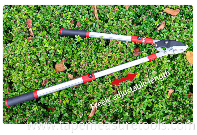 Factory wholesale SK5 steel long reach pruner telescopic pruner